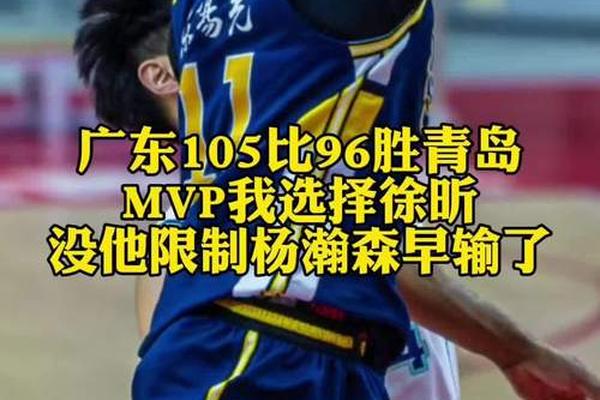 青岛邀陈国豪加盟 他很难填补杨瀚森缺失 回广东或是更好选择 徐昕 青岛邀陈国豪加盟 他很难填补杨瀚森缺失 回广东或是更好选择 徐昕
