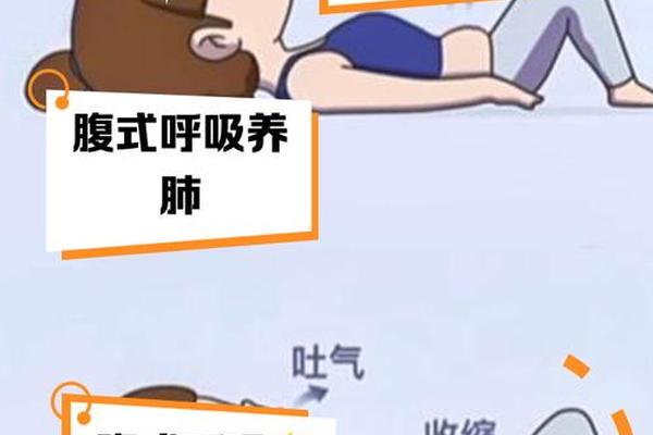 呼吸 呼吸运动和 呼吸作用三者的区别