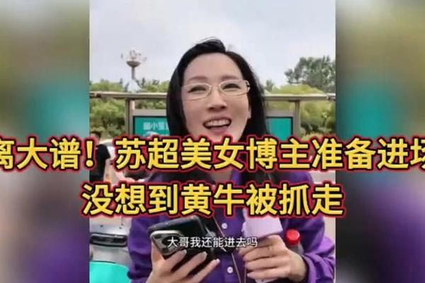 部分 苏超 比赛遭遇 黄牛 部分 苏超 比赛遭遇 黄牛