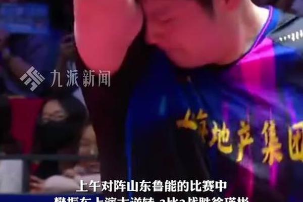 重回赛场后1天4胜 樊振东自我评价 做得还不错乒超 八强