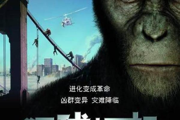 猩猩能主宰地球吗?科学角度看《猩球崛起:新世界》 猩猩能主宰地球吗?科学角度看《猩球崛起:新世界》
