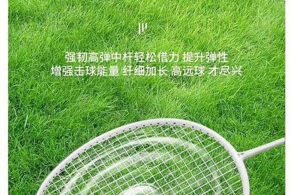 挑战认识的幸一百款球拍之 均衡之刃杨晨 碳素 配重 挑战认识的幸一百款球拍之 均衡之刃杨晨 碳素 配重