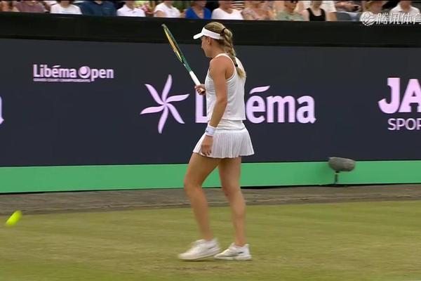 ATP250斯海尔托亨博斯站 迪亚洛收获生涯首冠 武基奇 拉奥尼奇 ATP250斯海尔托亨博斯站 迪亚洛收获生涯首冠 武基奇 拉奥尼奇