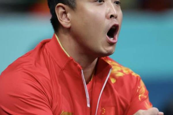 王皓 已通过笔试 国乒 马琳 王皓 已通过笔试 国乒 马琳