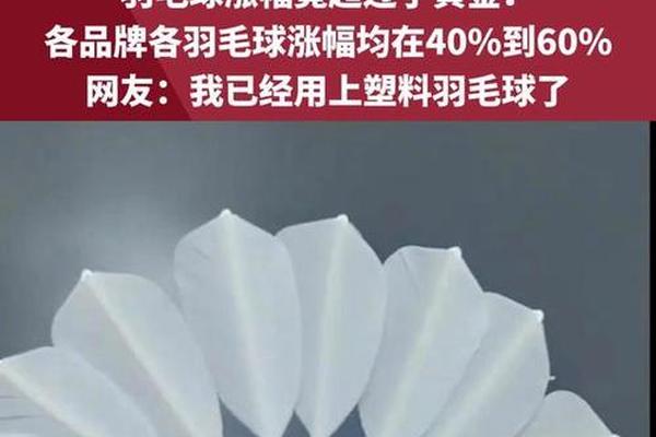 球价涨幅超黄金,羽毛球让人打不起了? 球价涨幅超黄金,羽毛球让人打不起了?