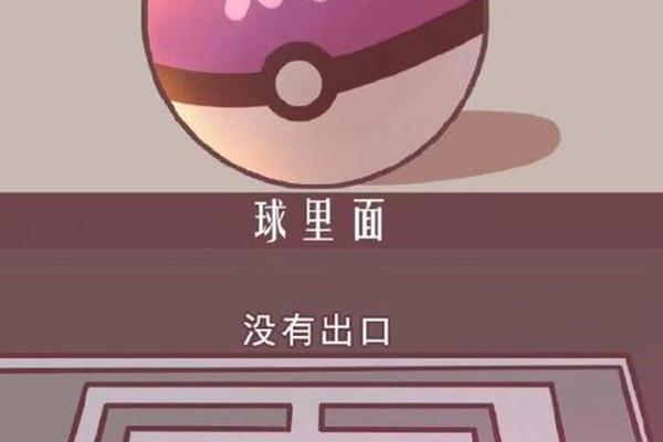 球大师 球大师