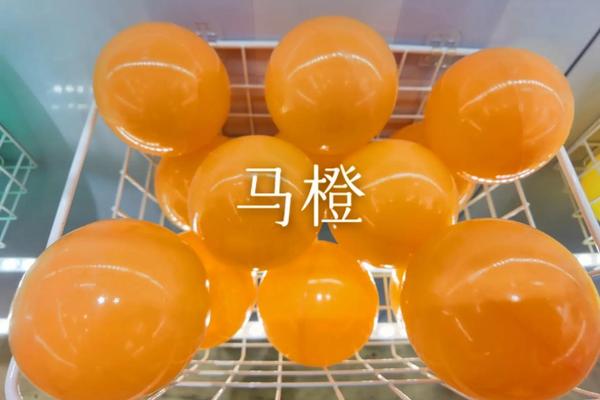生物球是何种物质？现在在小孩子中间流行着一种名叫“海洋生物球”的东西,但是它具体是什么？