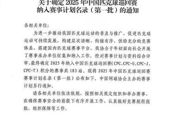 中国太保护航2025上海高校匹克球邀请赛圆满落幕 中国太保护航2025上海高校匹克球邀请赛圆满落幕