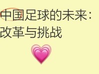 中国青少年足球 如何深度梳理和深化改革奥运 全运会 世界杯