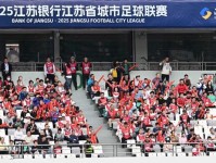 新华微评·活力中国热潮涌:“苏超”出圈,不止于足球