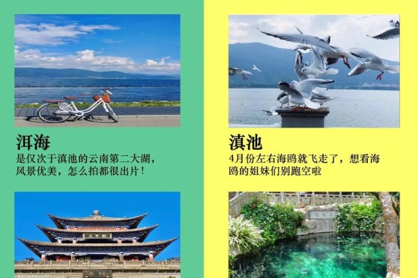 @来云南旅游的各位游客，你关心的问题都在这里→