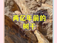 亚洲唯一化石类世界遗产，承载5亿多年前生命大爆发的奥秘