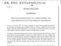 孙杨被禁赛8年上诉胜算大吗 孙杨翻案几率有多大