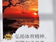 有关于描写体育的优美句子