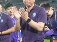 崔困难崔怨妇自由切换 拖不动老迈战车 于根伟三套阵型自由切换 鲁能