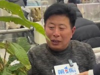 入乡随俗 青岛西海岸外援戴维森盘核桃 青岛市