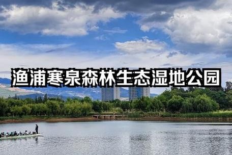 昆明不为人知的洗肺好去处——渔浦寒泉湿地公园