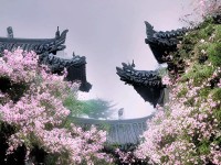 云南蒙自：梨花院落溶溶月 乡村新风入画来