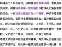 金牌填不满的洼地 中国网球文化为何会从规则的传播者变成施暴者 高尚