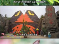 很多云南人都不知道的秘境——红河蝴蝶谷