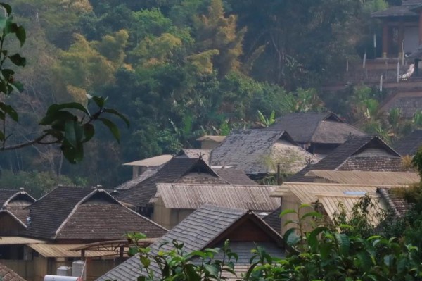 新晋世界遗产地景迈山带热周边乡村旅游