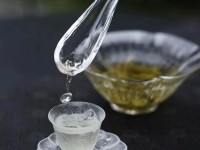 寻茶问道游