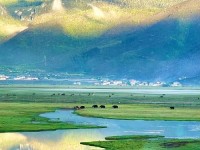 云南普达措：雪山碧水绘就高原生态画卷