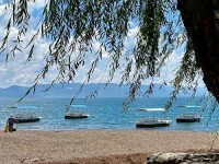 这个夏天，总要来一趟抚仙湖吧！