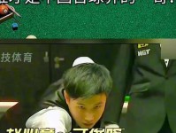 丁俊晖谈赵心童夺冠 群众的关注很短暂 要思考如何可持续发展 台球