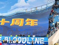 震撼 大连球迷在梭鱼湾球场看台打出巨型Tifo 足球复兴足球城 tifo