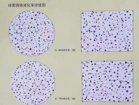 简述一下铸铁和球铁的区别?
