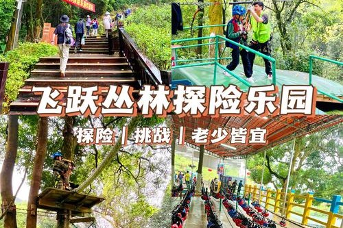 普洱市首个丛林探险项目落成