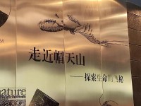 帽天山古生物化石群发现32周年纪念暨帽天山化石群入选世界自然遗产4周年纪念