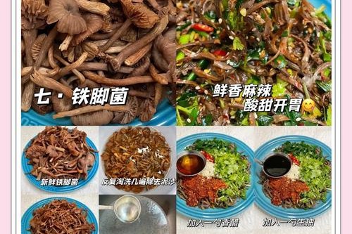 为菌疯狂的时候到了！来云南不能错过的野生菌吃法