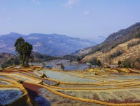 “大地艺术雕刻”又上新，哈尼梯田已经美足1300年