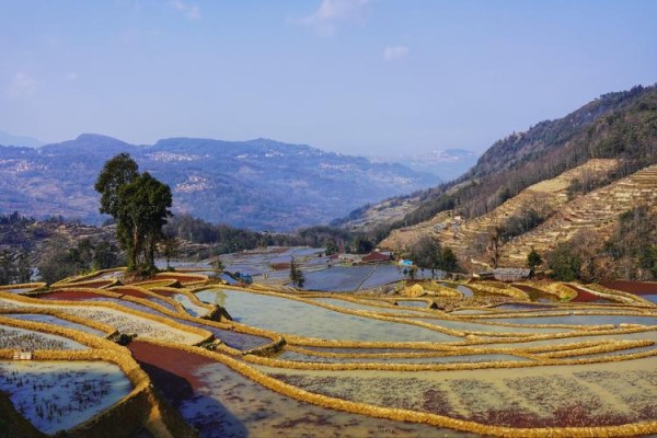 “大地艺术雕刻”又上新，哈尼梯田已经美足1300年
