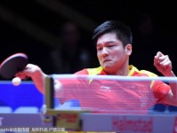 团体世乒赛男乒3-0胜葡萄牙 樊振东拒冷门演大逆转
