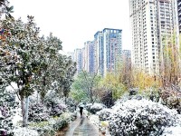 冬日昆明，又“红”又“火”！