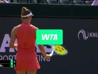 ATP斯海尔托亨博斯站 梅德维德夫草地赛季首秀告捷 戈芬 赛会