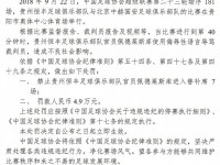 国足协对恒丰队主帅开出罚单 贵州主帅提前结束赛季