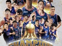 媒体人 NBL史上夺冠次数最多的球队安徽文一传出解散传闻 CBA 河南男篮