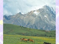 草甸花海、雪山峡谷……高铁视角带你看云南美景