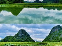 文山普者黑：擦亮喀斯特上的绿宝石