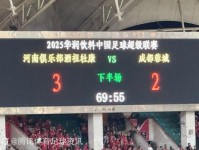 呼吁球迷理性 多家俱乐部转发响应中足联倡议 主人翁 足球盛宴