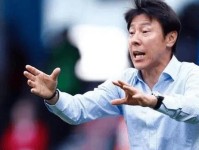 靠谱吗 韩媒曝前印尼主帅申台龙成中国国足主教练候选 印尼队 伊万科维奇