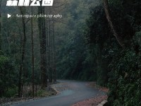 云南墨江国家森林公园 获批普洱拥有三个国家级森林公园