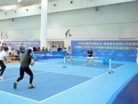 2025湖南中美民间匹克球交流赛在长沙开幕_图_