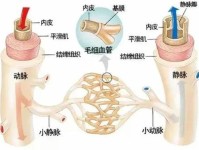 为什么入球小动脉和出球小动脉里流的都是动脉血?入球小动脉和出球小动脉之间有毛细血管.为什么双方都是动脉血?请给予详细说明~