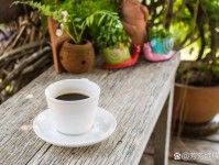 普洱咖啡香飘远
