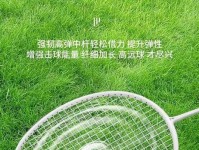 挑战认识的幸一百款球拍之 均衡之刃杨晨 碳素 配重